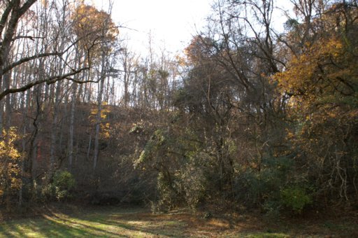 2940 Quarry Hollow Road Friendsville, TN 37737 - Photo 19 of 39 Additional Photo