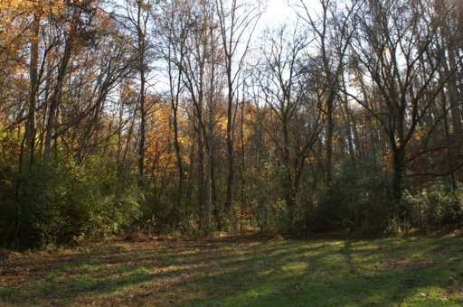 2940 Quarry Hollow Road Friendsville, TN 37737 - Photo 20 of 39 Additional Photo
