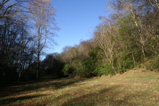 2940 Quarry Hollow Road Friendsville, TN 37737 - Photo 22 of 39 Additional Photo