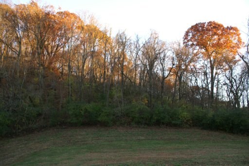 2940 Quarry Hollow Road Friendsville, TN 37737 - Photo 24 of 39 Additional Photo