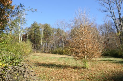 2940 Quarry Hollow Road Friendsville, TN 37737 - Photo 8 of 39 Additional Photo