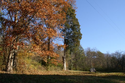 2940 Quarry Hollow Road Friendsville, TN 37737 - Photo 10 of 39 Additional Photo