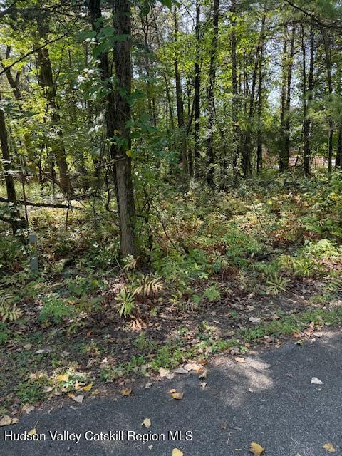 41 Fallen Tree Lane Athens, NY 12015 - Photo 2 of 5 a view of a forest with trees