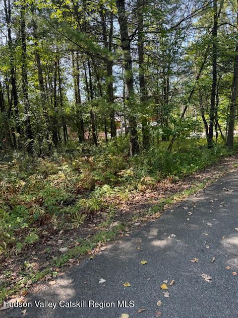 41 Fallen Tree Lane Athens, NY 12015 - Photo 4 of 5 a backyard of a house with lots of green space