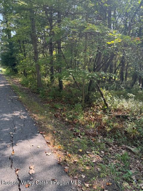 41 Fallen Tree Lane Athens, NY 12015 - Photo 5 of 5 a view of a yard with plants and large trees