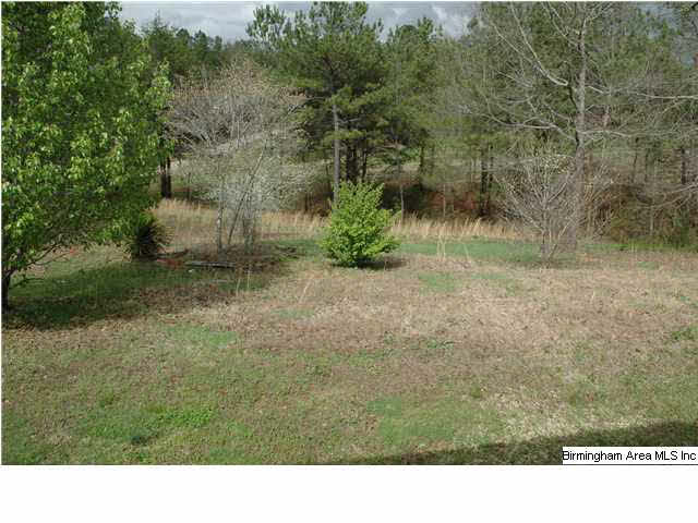 190 Pitt Road Cordova, AL 35550 - Photo 17 of 20