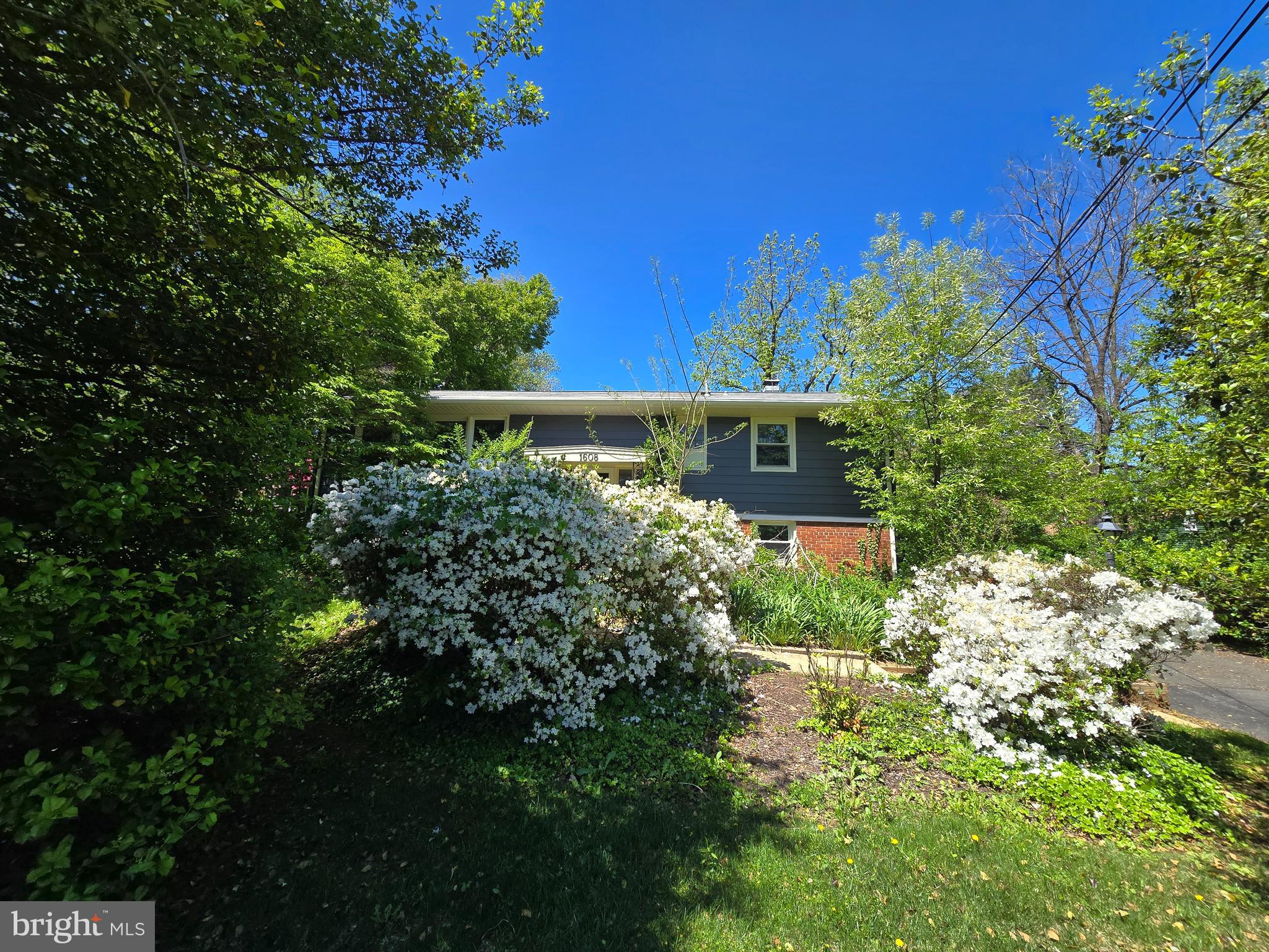 1608 Chain Bridge Road McLean, VA 22101 - Photo 3 of 37 a view of a back yard