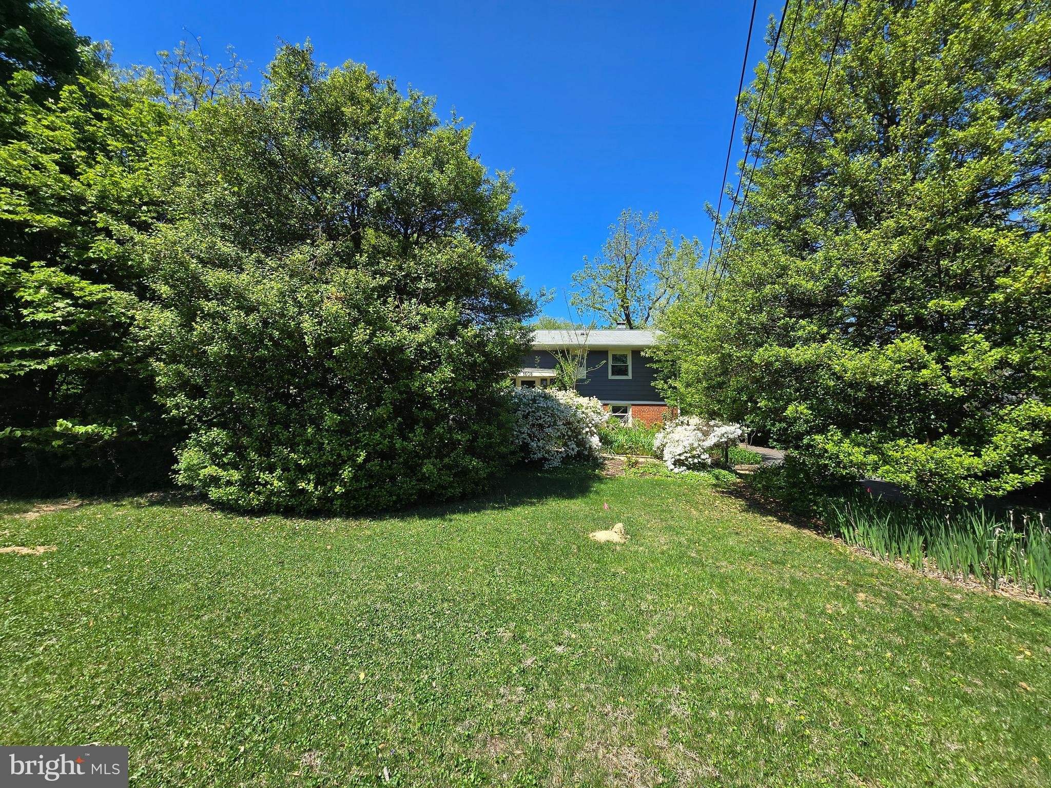 1608 Chain Bridge Road McLean, VA 22101 - Photo 6 of 37 a view of a garden with a lake