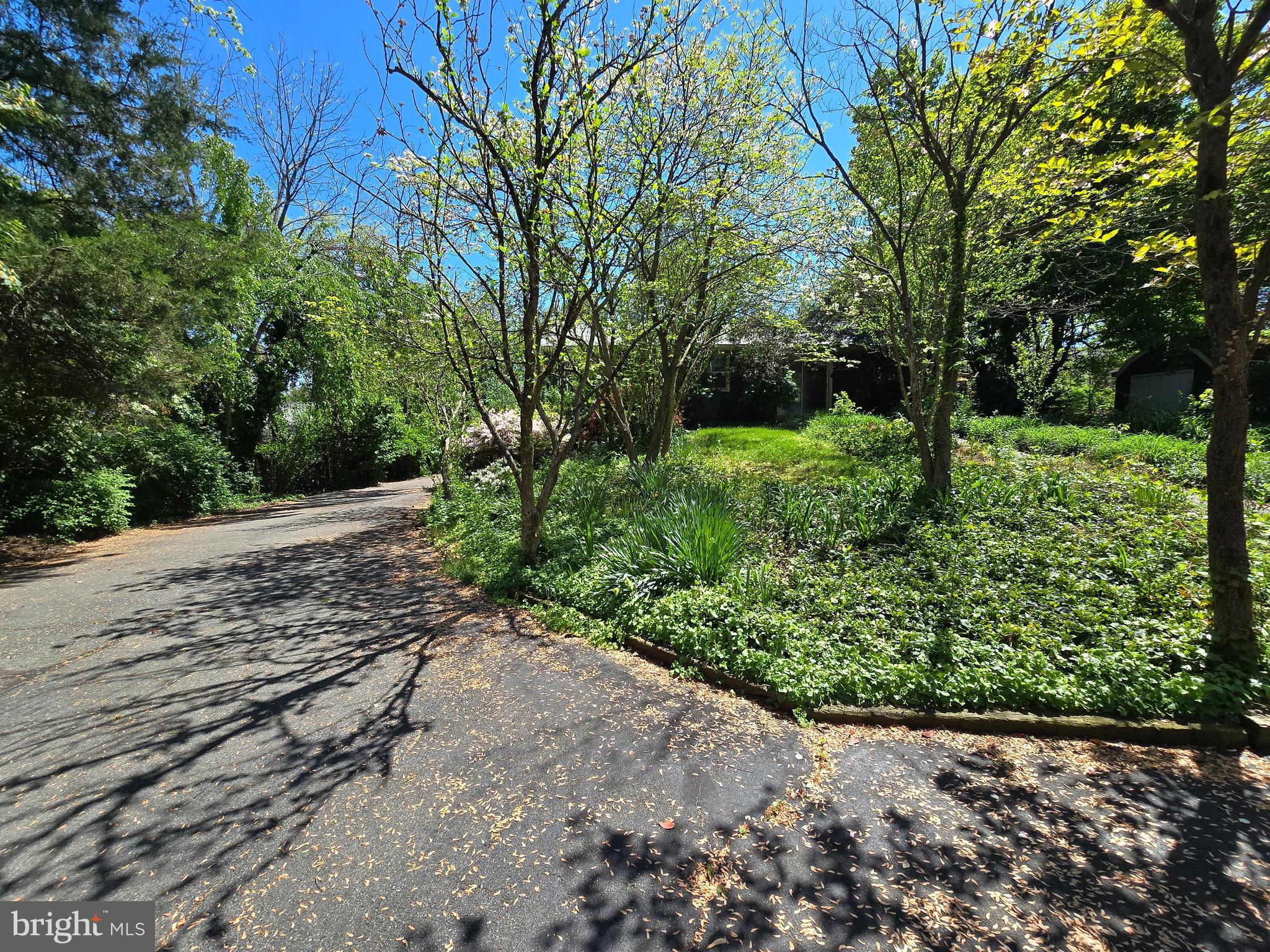 1608 Chain Bridge Road McLean, VA 22101 - Photo 8 of 37 a view of a yard with plants and a large tree