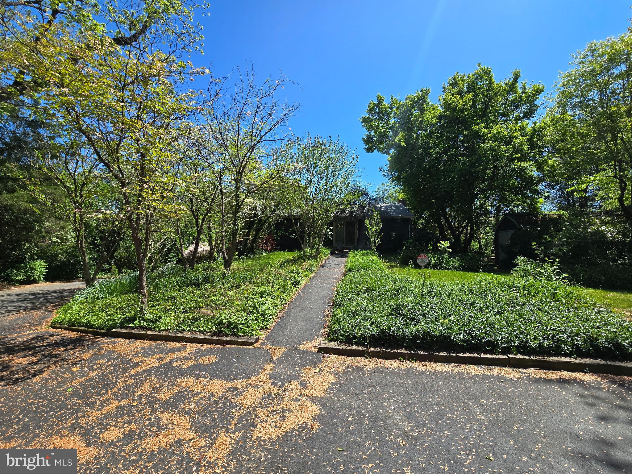 1608 Chain Bridge Road McLean, VA 22101 - Photo 9 of 37 a view of a garden with plants and trees