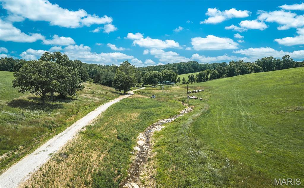 171 Czar Tower Road Steelville, MO 65565 - Photo 8 of 54