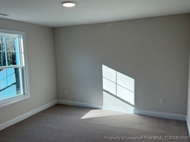 178 Surles Landing Way Benson, NC 27504 - Photo 12 of 21 an empty room with windows