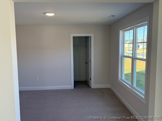 178 Surles Landing Way Benson, NC 27504 - Photo 20 of 21 an empty room with windows