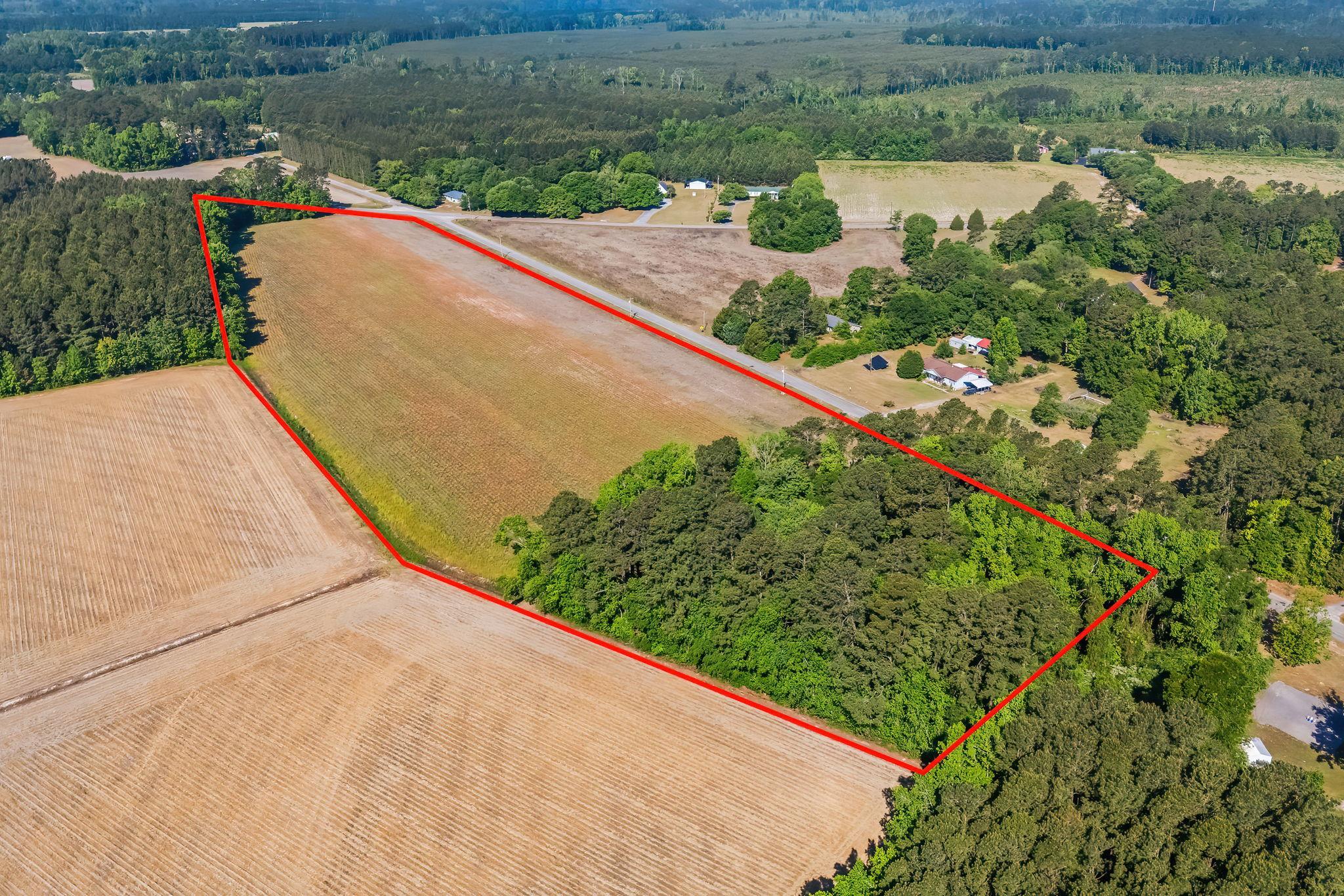 Tbd Ray Road Hemingway, SC 29554 - Photo 2 of 24