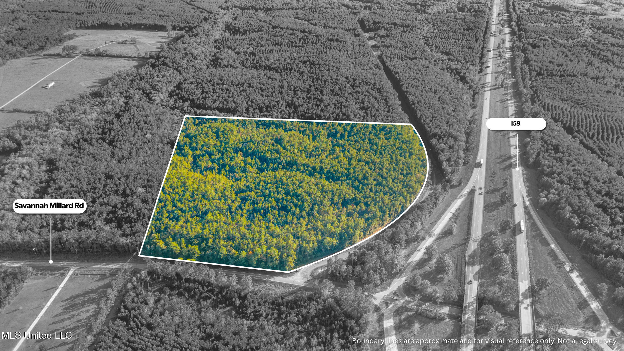 I59-savannah Millard Road Poplarville, MS 39470 - Photo 18 of 21 17_millard exit two bw