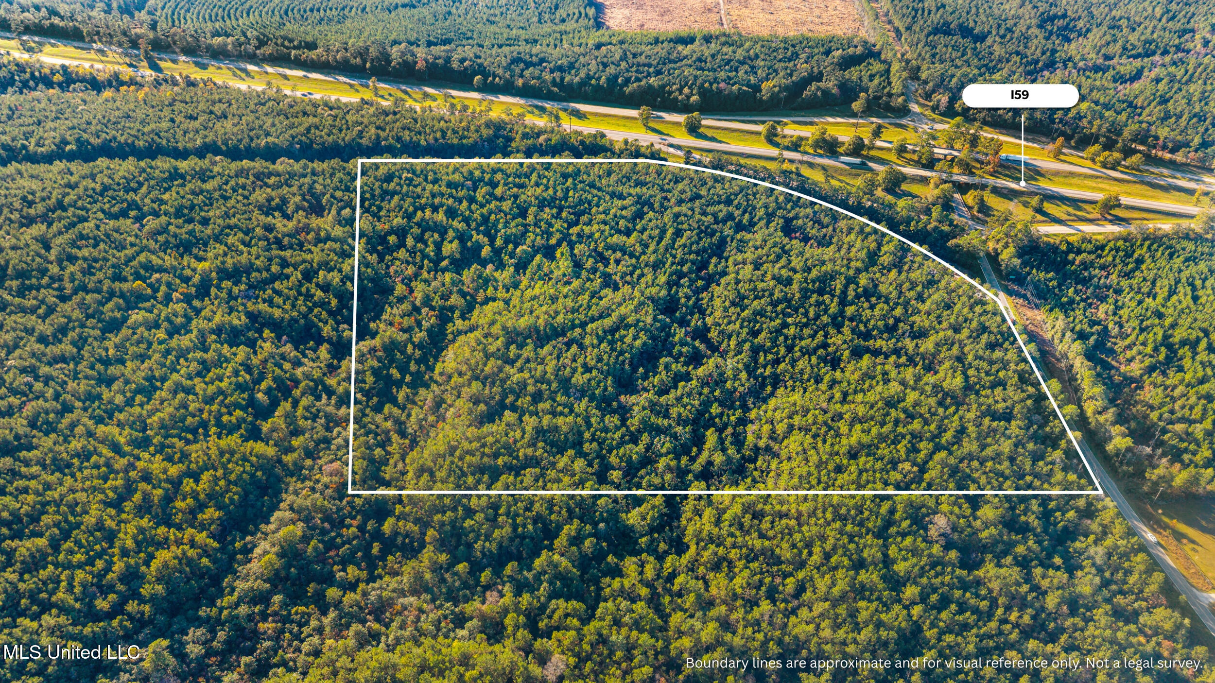 I59-savannah Millard Road Poplarville, MS 39470 - Photo 3 of 21 2_millard exit five