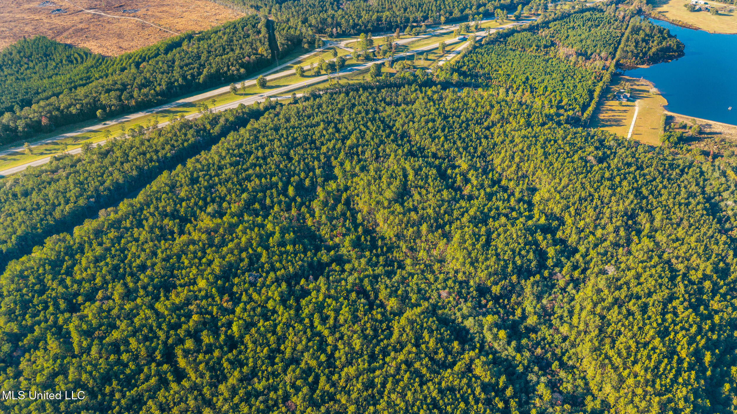 I59-savannah Millard Road Poplarville, MS 39470 - Photo 4 of 21 3_dji_20251105153825_0279_d