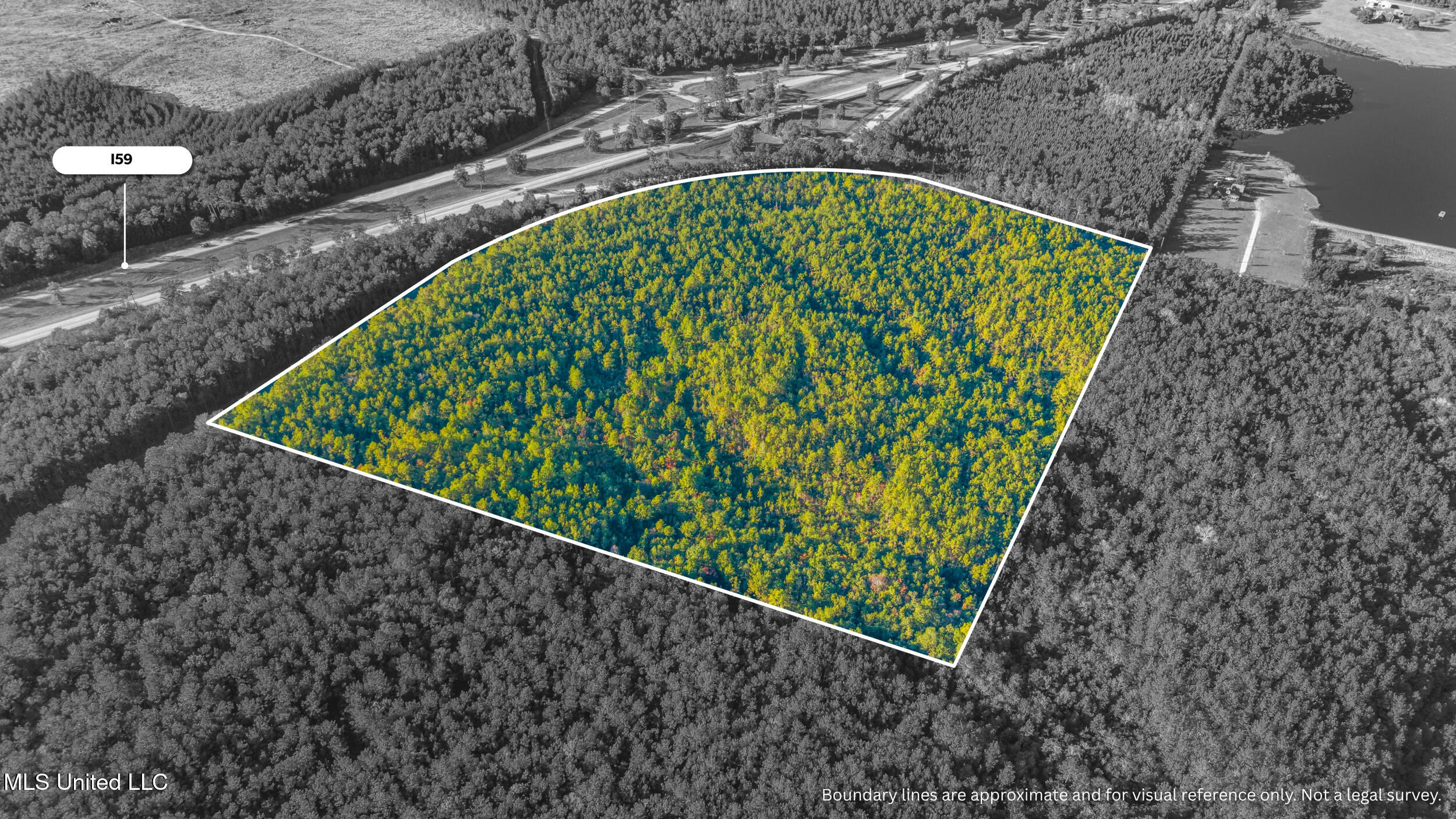 I59-savannah Millard Road Poplarville, MS 39470 - Photo 6 of 21 5_millard exit four bw