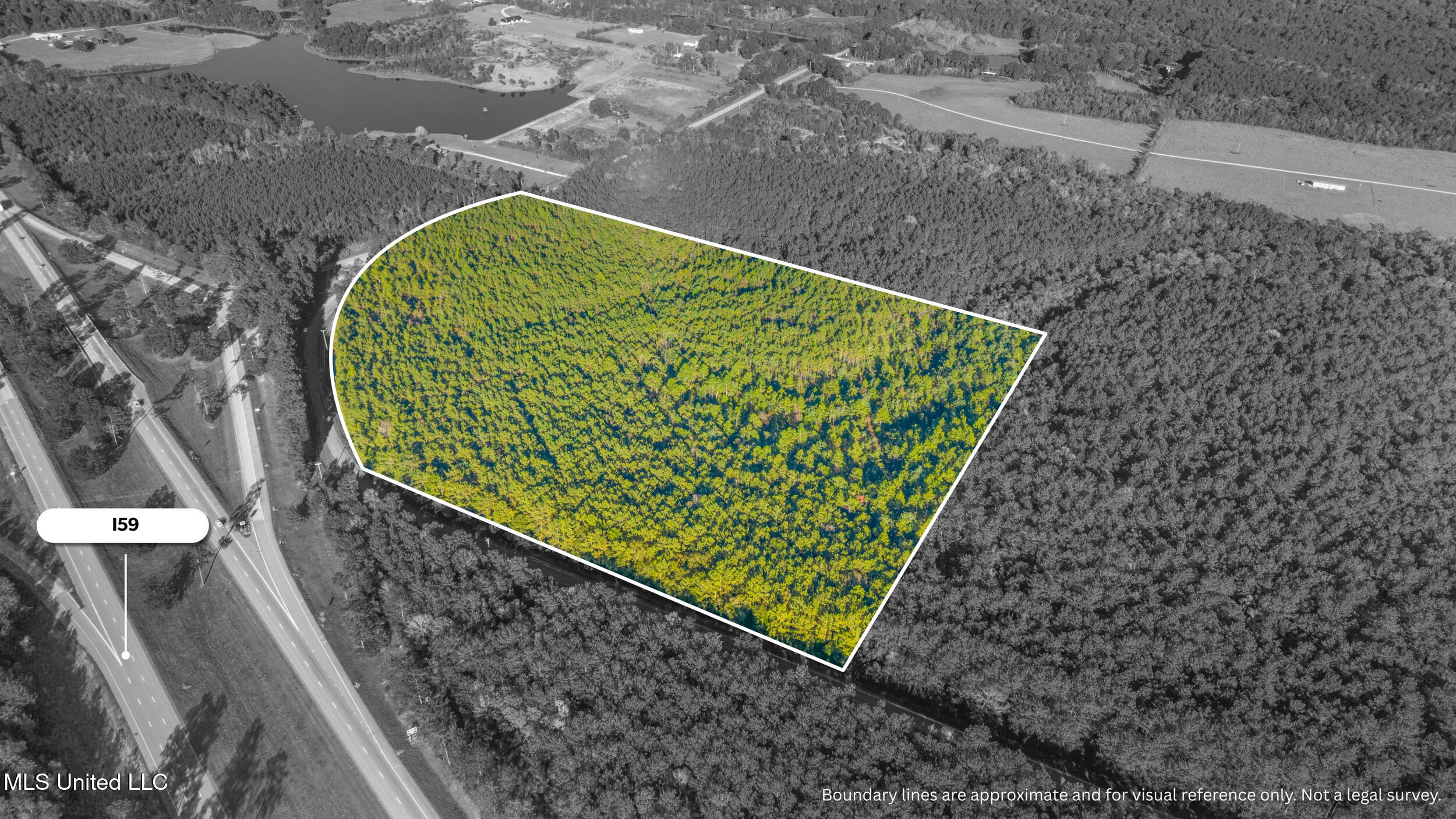 I59-savannah Millard Road Poplarville, MS 39470 - Photo 10 of 21 9_millard exit one bw