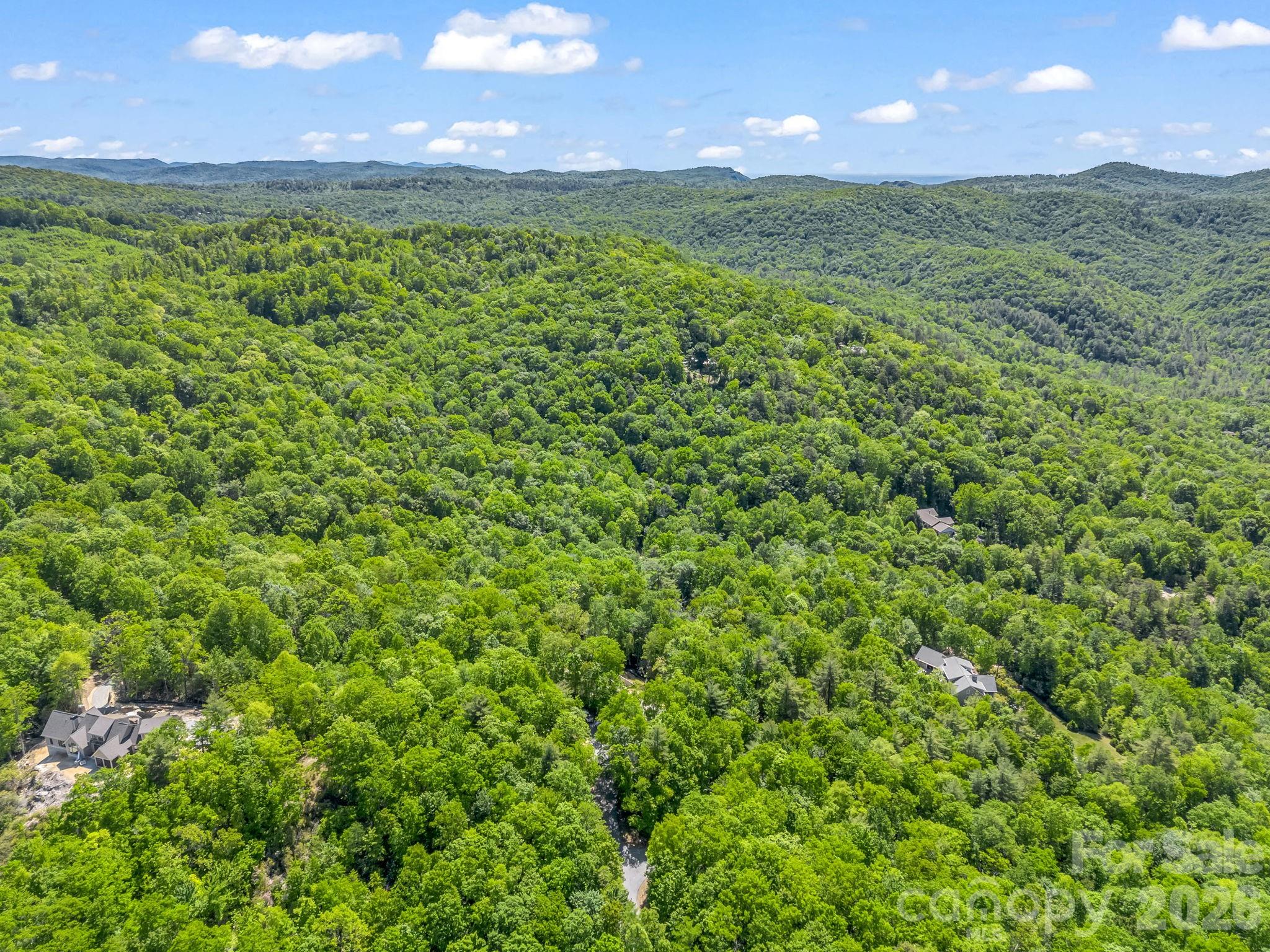 352 Big Hill Road Brevard, NC 28712 - Photo 8 of 31