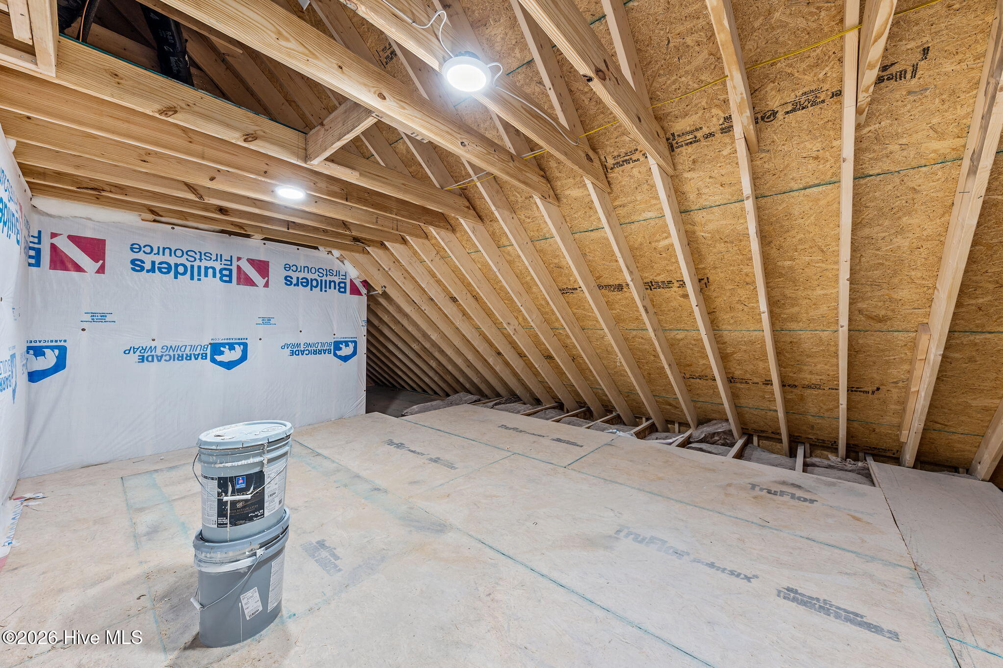 2841 Murdocksville Road West End, NC 27376 - Photo 64 of 68 Walk-In Attic Storage