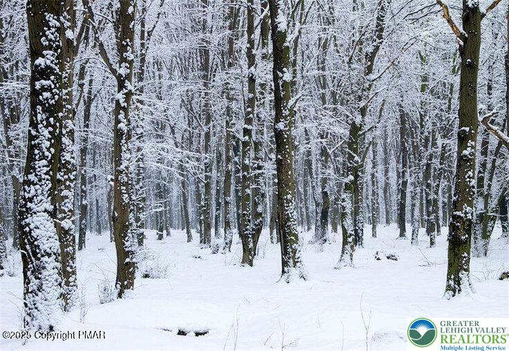 Spring Ct Pike Bushkill, PA 18324 - Photo 3 of 13 view of outdoor space with seating