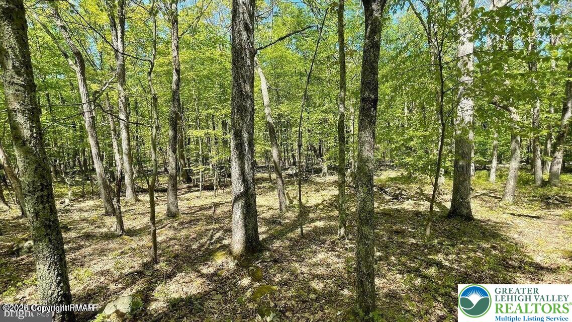 Spring Ct Pike Bushkill, PA 18324 - Photo 4 of 13 a view of an outdoor space