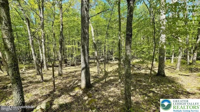 a view of an outdoor space