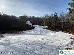 a view of a backyard of the house