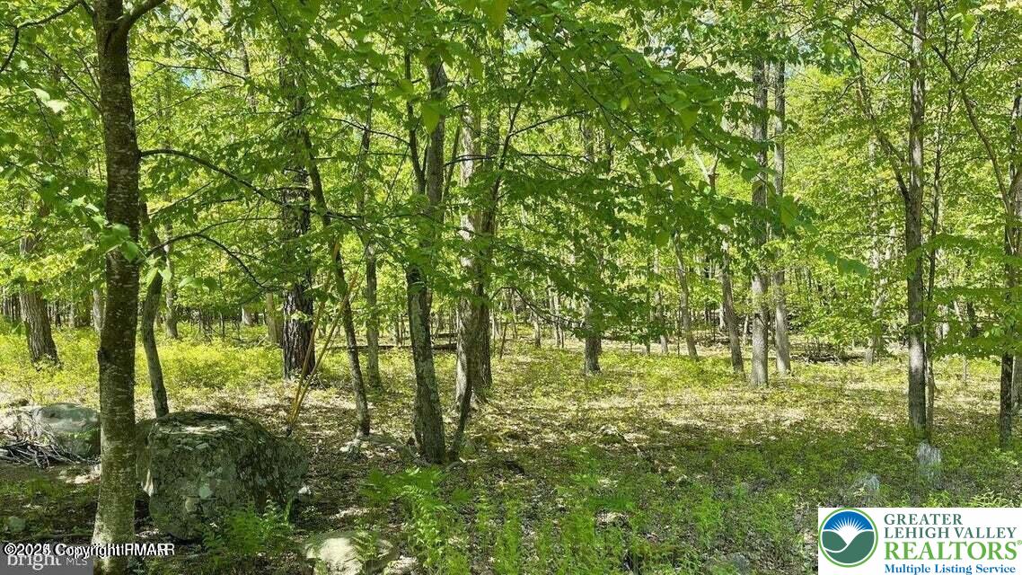 Spring Ct Pike Bushkill, PA 18324 - Photo 9 of 13 a view of yard