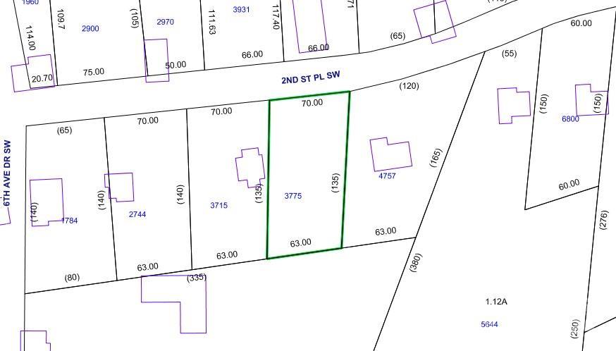 603 2nd St Place Southwest Conover, NC 28613 - Photo 2 of 3