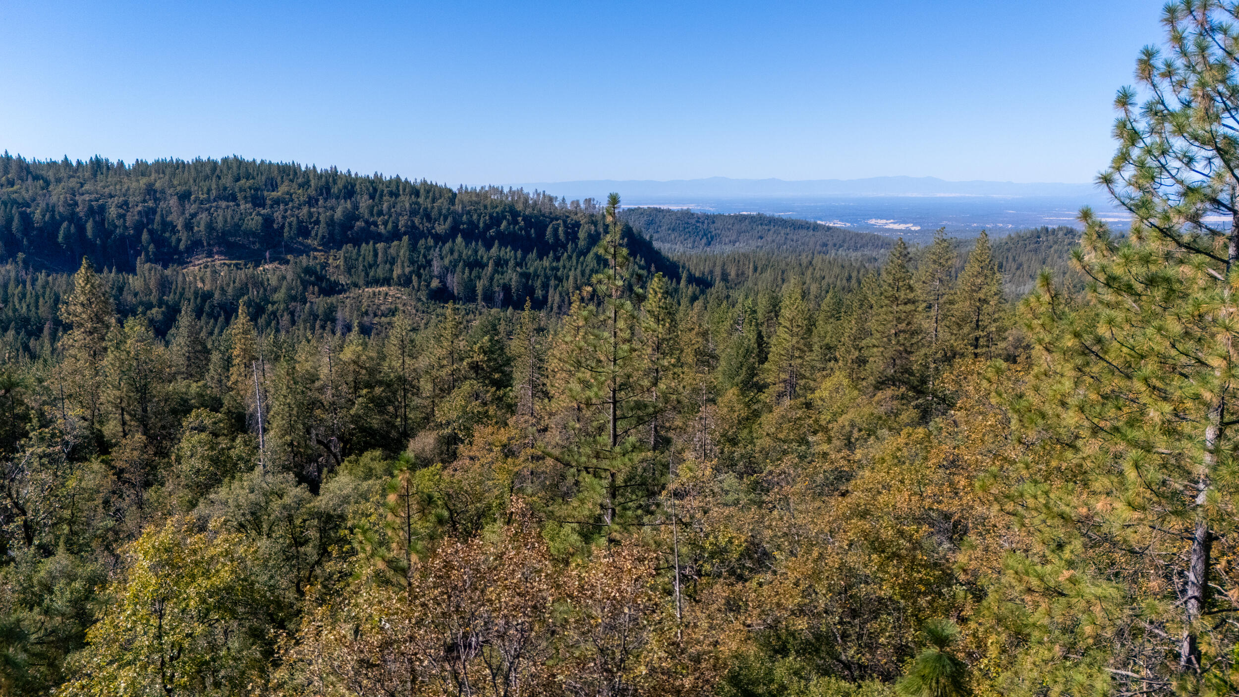 29627 Oak Run To Fern Road Oak Run, CA 96069 - Photo 20 of 32 Exterior-31