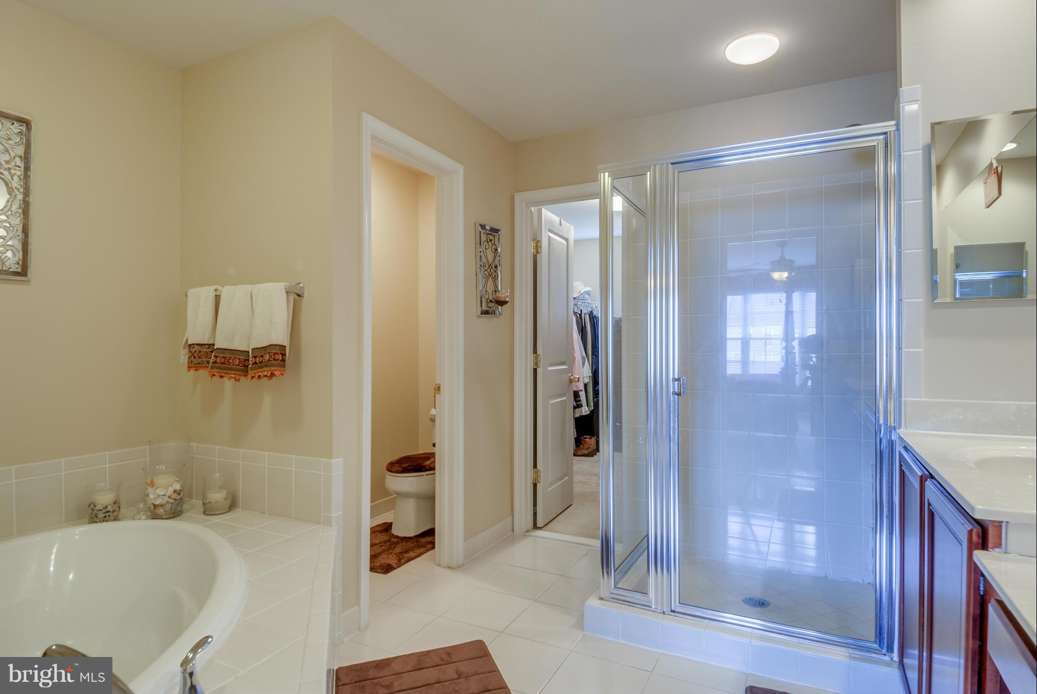 9164 Ribbon Falls Loop Bristow, VA 20136 - Photo 16 of 30 Bath (Master)