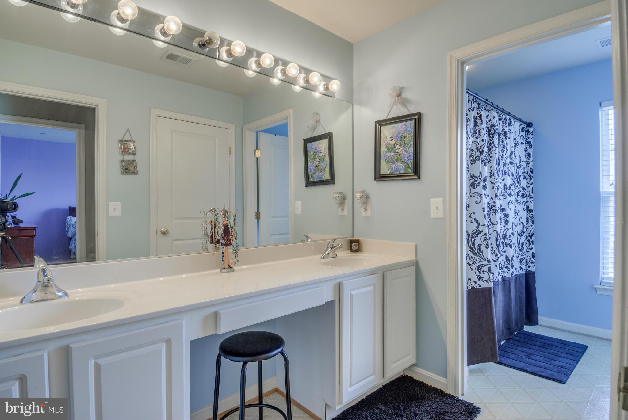 9164 Ribbon Falls Loop Bristow, VA 20136 - Photo 21 of 30 Upper Level Bathroom
