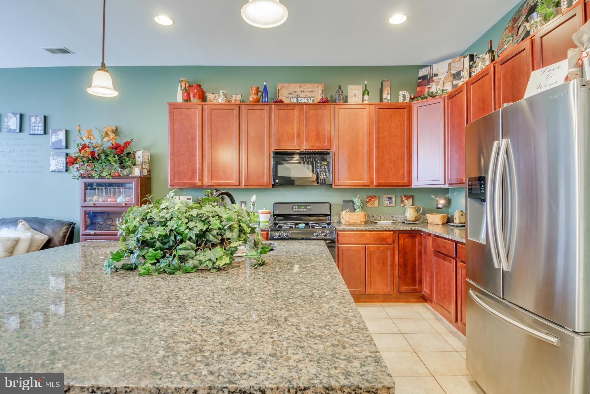 9164 Ribbon Falls Loop Bristow, VA 20136 - Photo 4 of 30 Kitchen