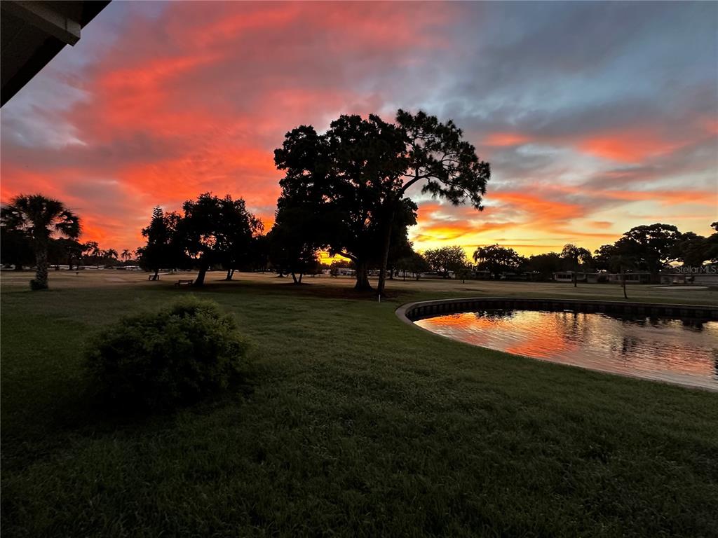 1100 South Belcher Road, Unit 523 Largo, FL 33771 - Photo 42 of 56 a view of a lake with a yard