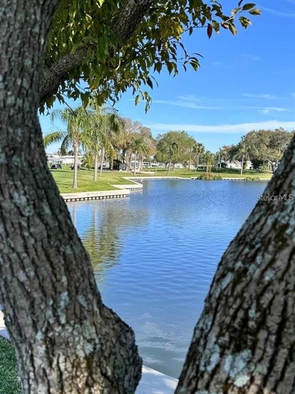 1100 South Belcher Road, Unit 523 Largo, FL 33771 - Photo 54 of 56 a view of a lake