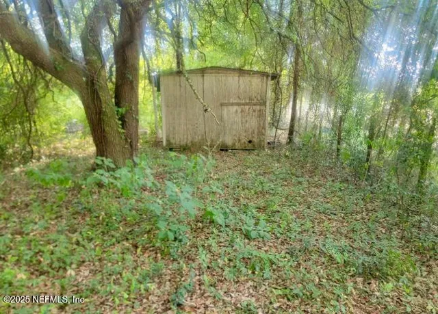 a view of a backyard