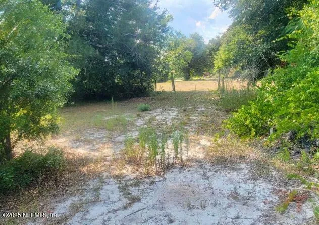 a view of a yard with a tree