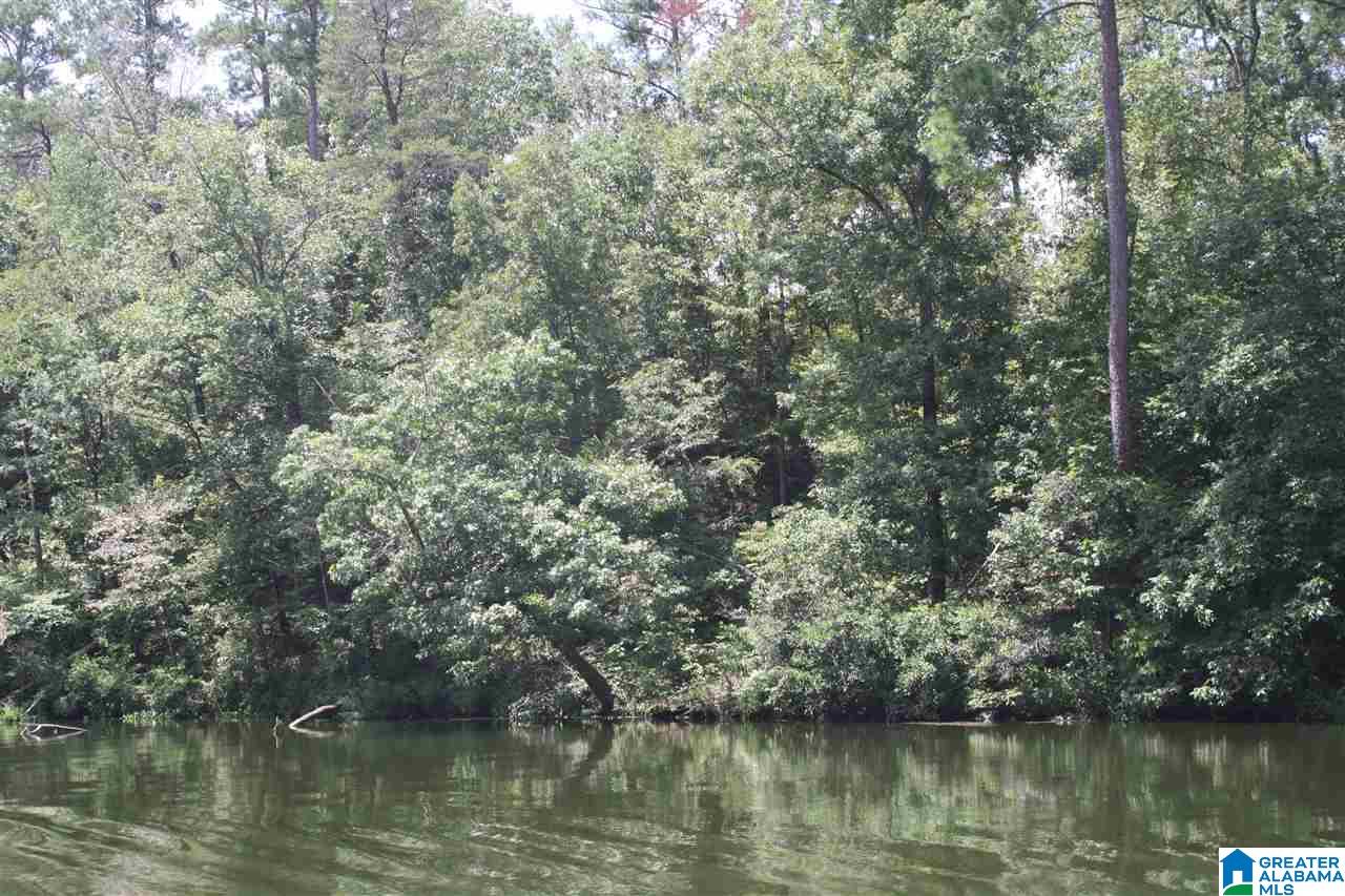 Franklin Ferry Road, Unit 17 Oakman, AL 35579 - Photo 16 of 22