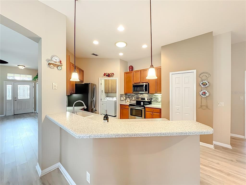 3425 Mt Hope Loop Leesburg, FL 34748 - Photo 19 of 98