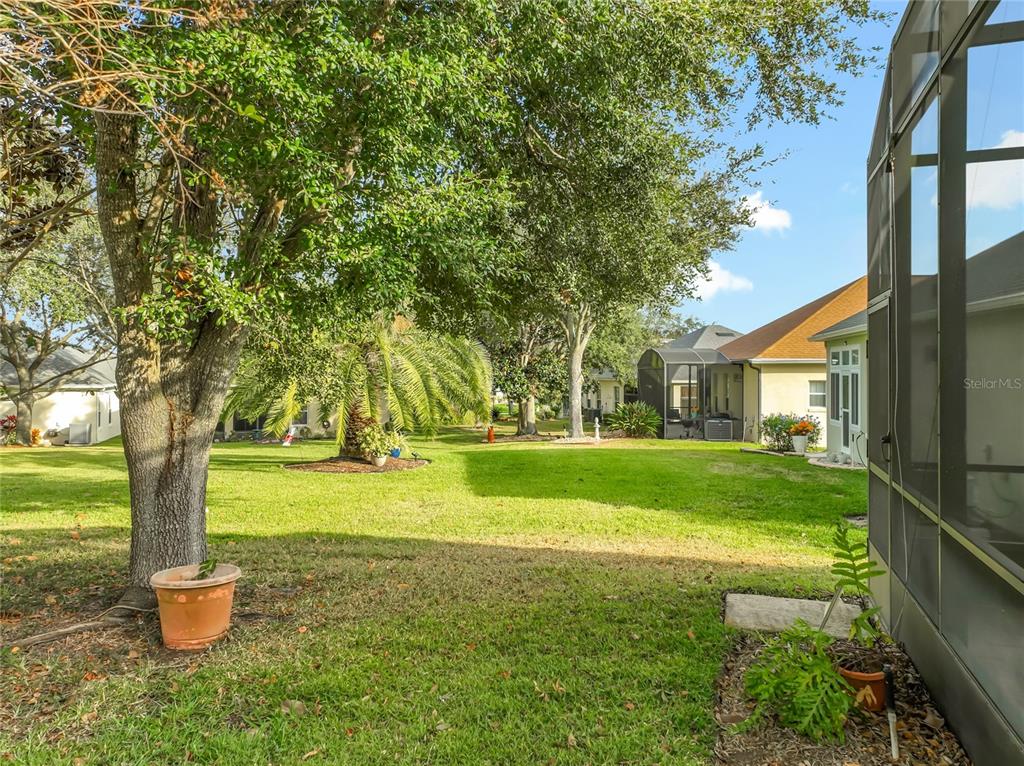 3425 Mt Hope Loop Leesburg, FL 34748 - Photo 57 of 98