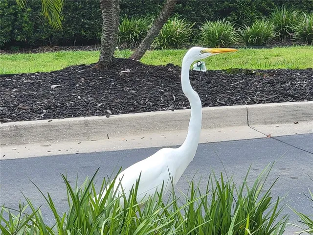 $312,000 | 3425 Mt Hope Loop, Leesburg, FL 34748