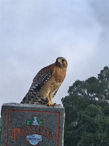 $312,000 | 3425 Mt Hope Loop, Leesburg, FL 34748