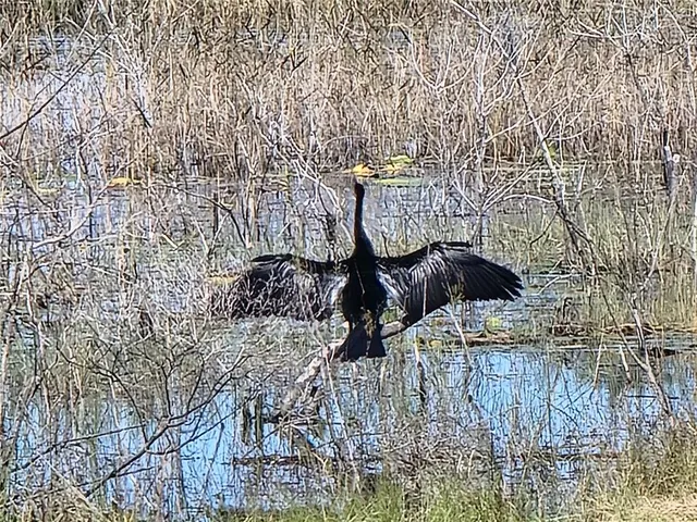 $312,000 | 3425 Mt Hope Loop, Leesburg, FL 34748