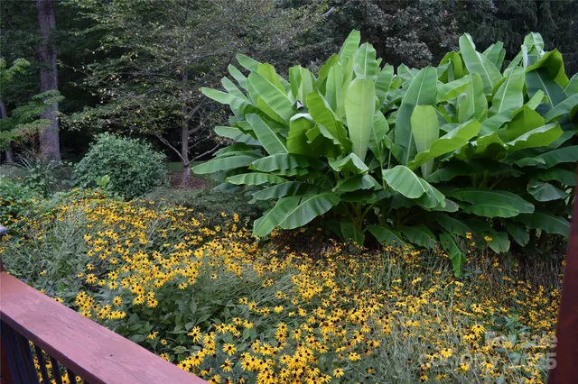 $795,000 | 5 Kari Circle, Candler, NC 28715