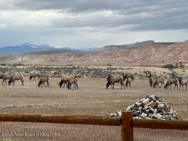 Lot 4 Bald Mountain Road Dubois, WY 82513 - Photo 14 of 18 Elk 3