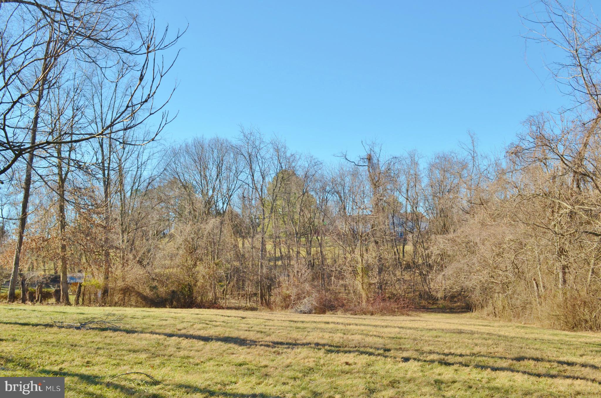 0 South Ox Road Woodstock, VA 22664 - Photo 1 of 9 a view of a yard with large trees