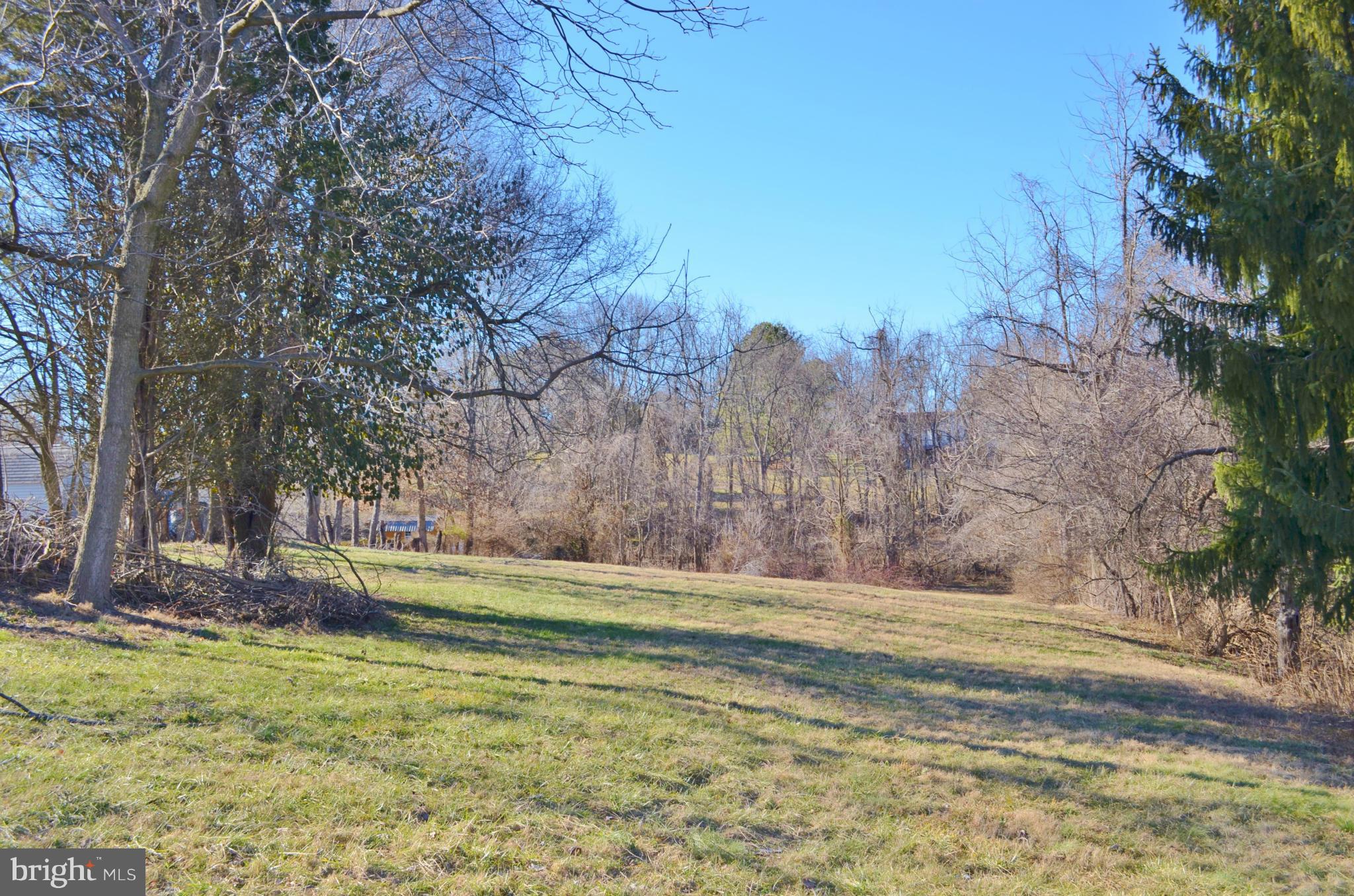 0 South Ox Road Woodstock, VA 22664 - Photo 2 of 9 a view of a yard with large trees
