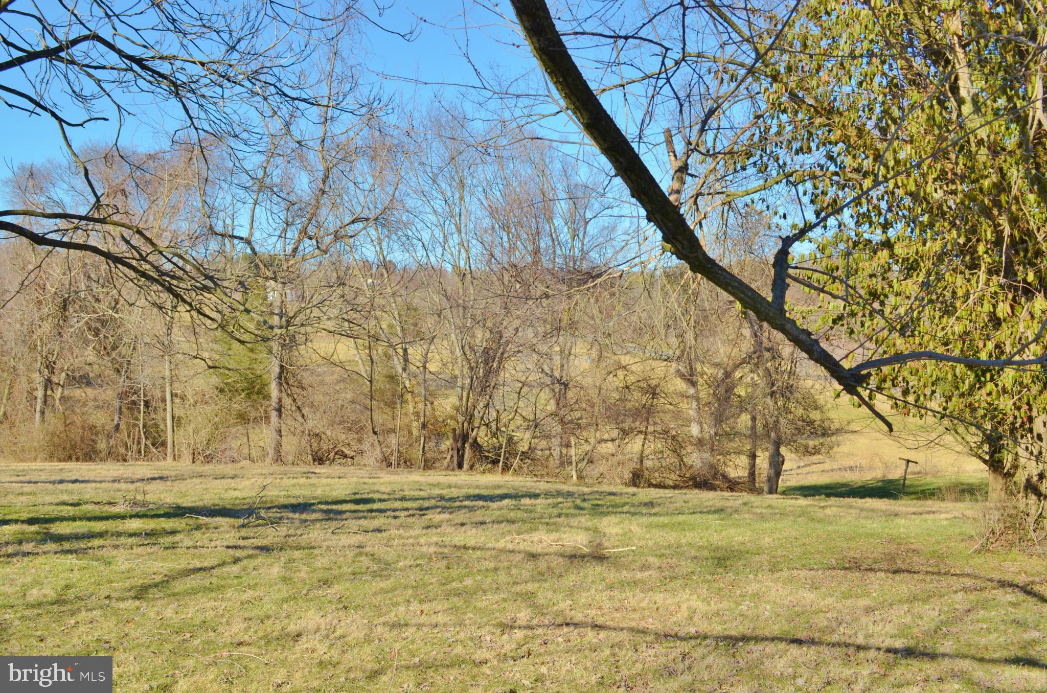 0 South Ox Road Woodstock, VA 22664 - Photo 4 of 9 a view of yard with swimming pool